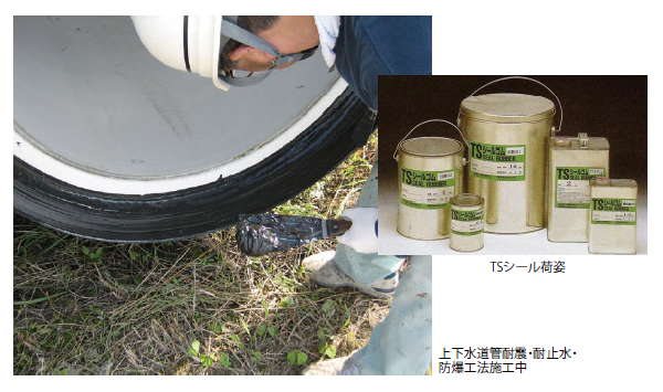 TS-Seal Products and Methods画像